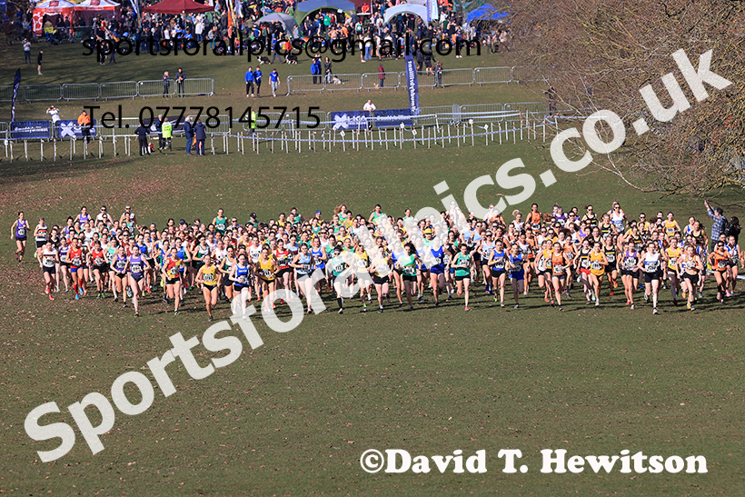 Senior womens 2025 UK CAU Inter Counties Cross Country Champs., Wollaton Park, Nottingham. Photo: David T. Hewitson/Sports for All Pics